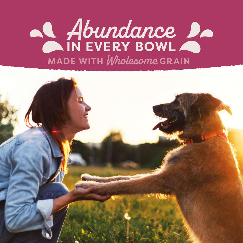 Natural Balance chien mange une portion, favorise maintien de poids actif