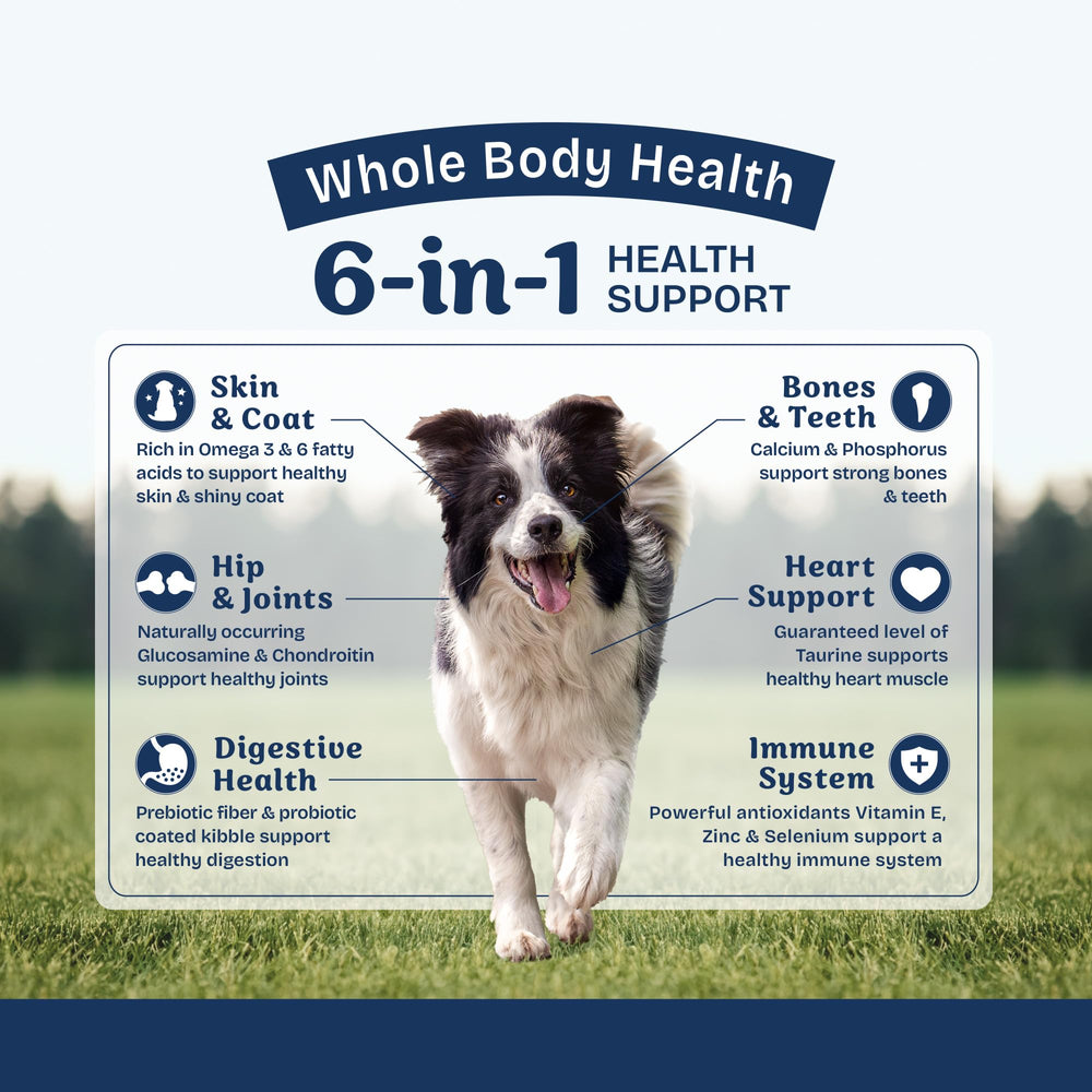 Natural Balance chien mange croquettes illustrant appétence et digestion douce