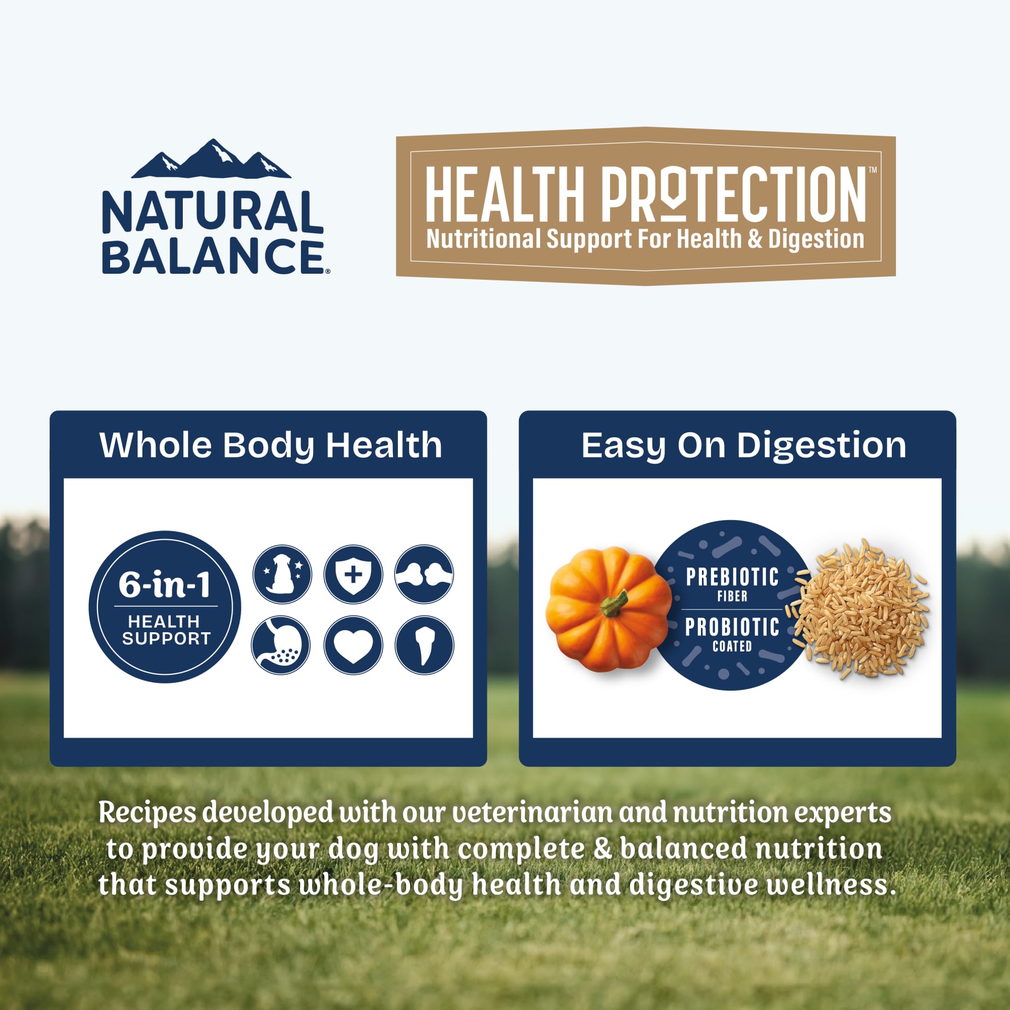 Natural Balance croquettes dans bol pour un repas appétent et équilibré