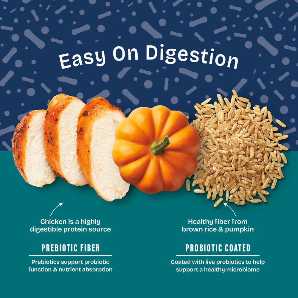 Natural Balance ingrédients poulet, riz brun et citrouille, source nutritive équilibrée