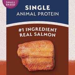 Natural Balance saumon séché ingrédient principal apportant protéines de qualité