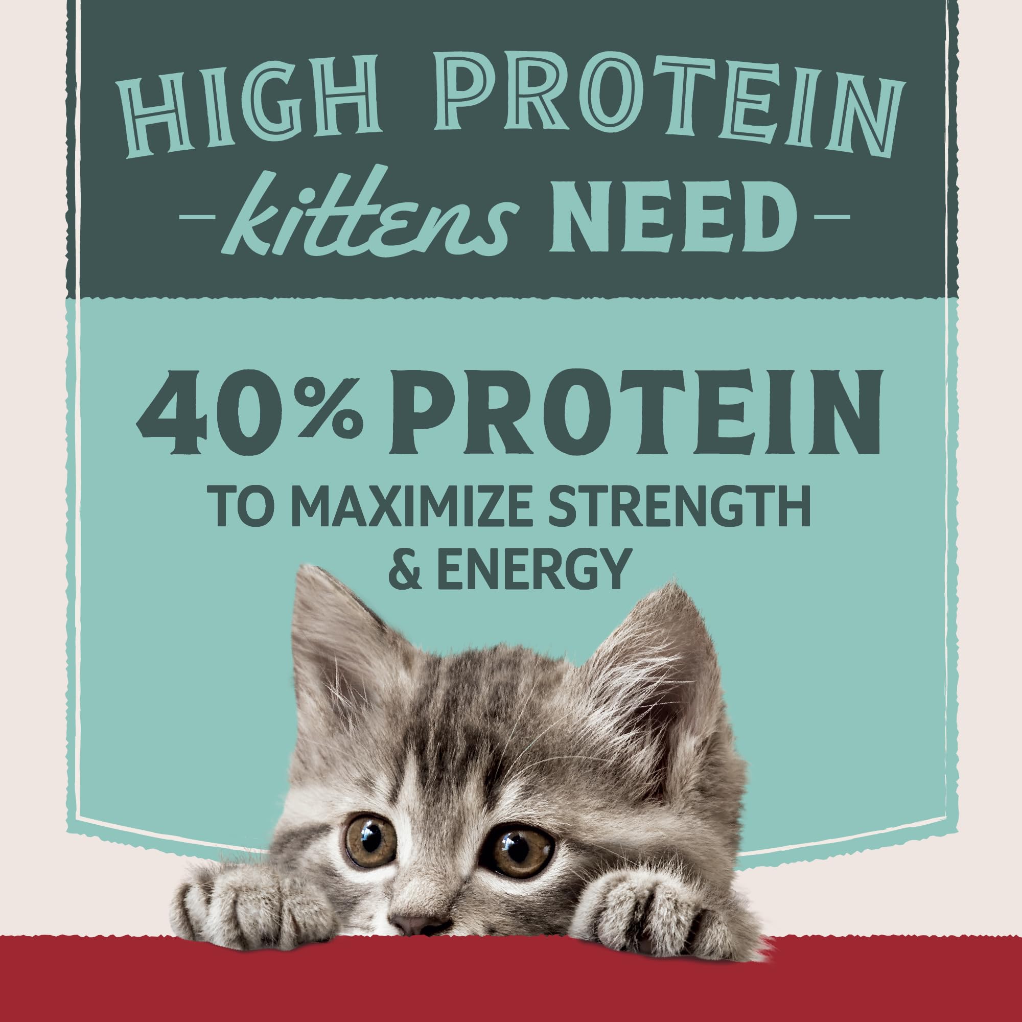 Natural Balance chaton qui mange les croquettes montrant acceptation et appétit