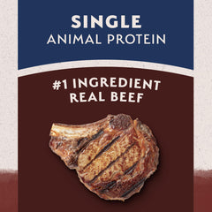 Natural Balance arrière du paquet affichant la liste d'ingrédients simplifiée