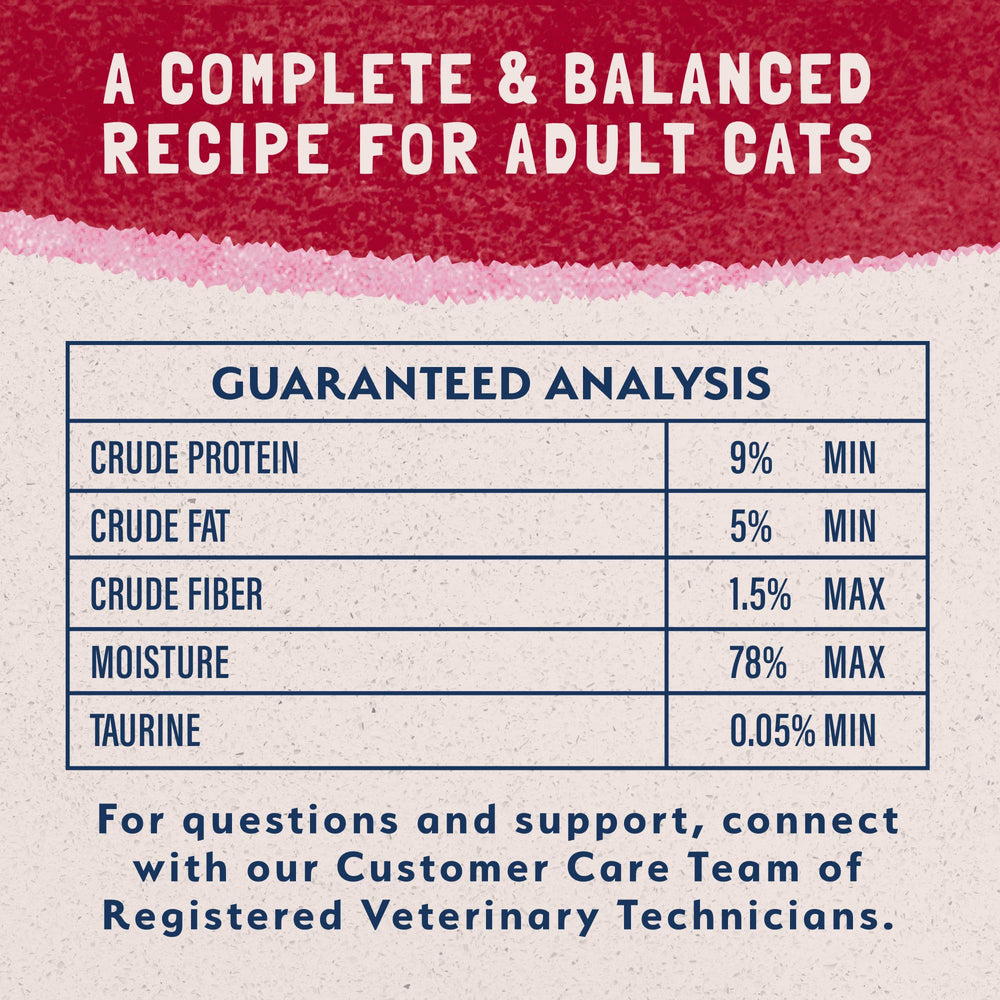 Natural Balance pâté servi dans un bol, portion prête à consommer pour chat