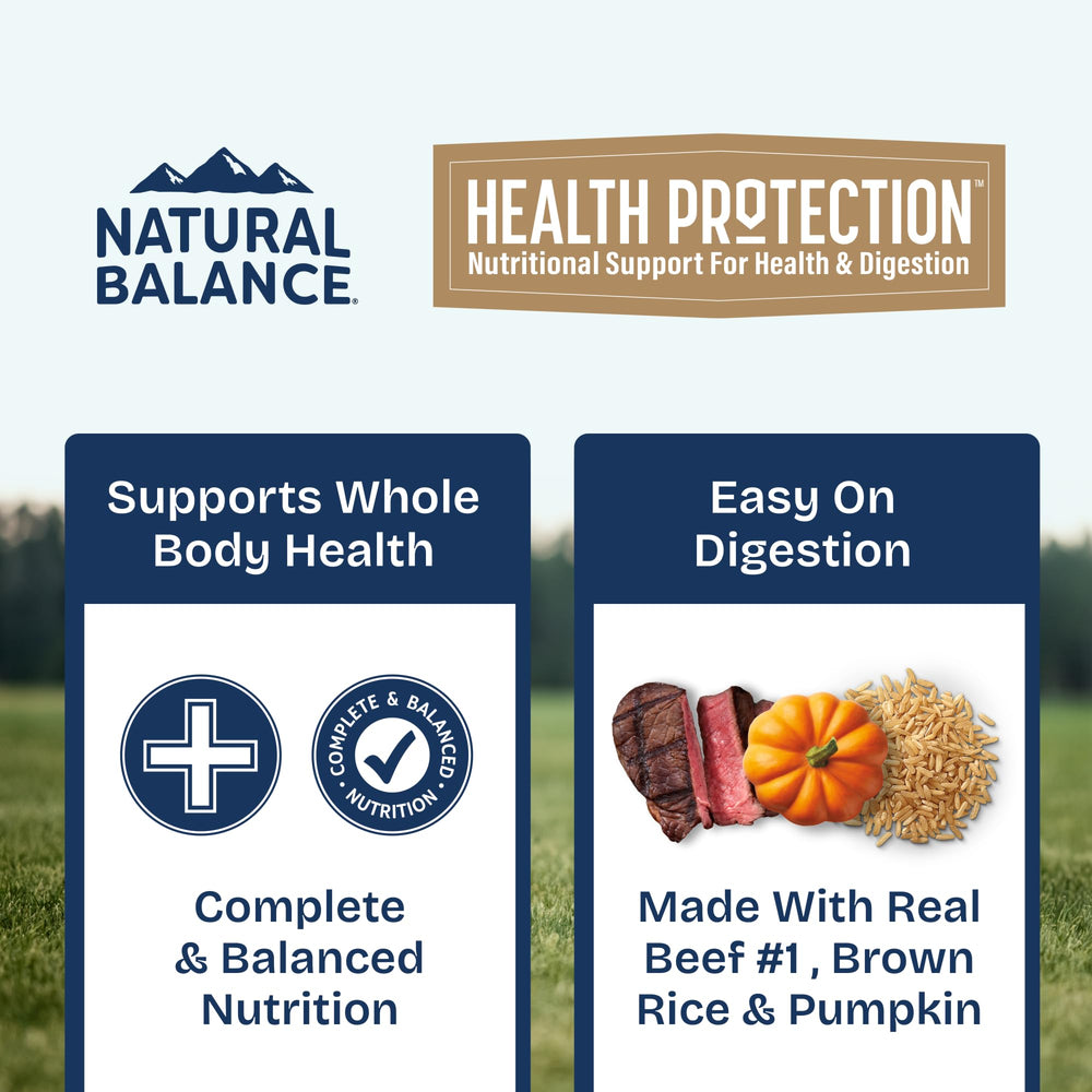 Natural Balance mélange humide et croquettes dans un bol, diversité et hydratation