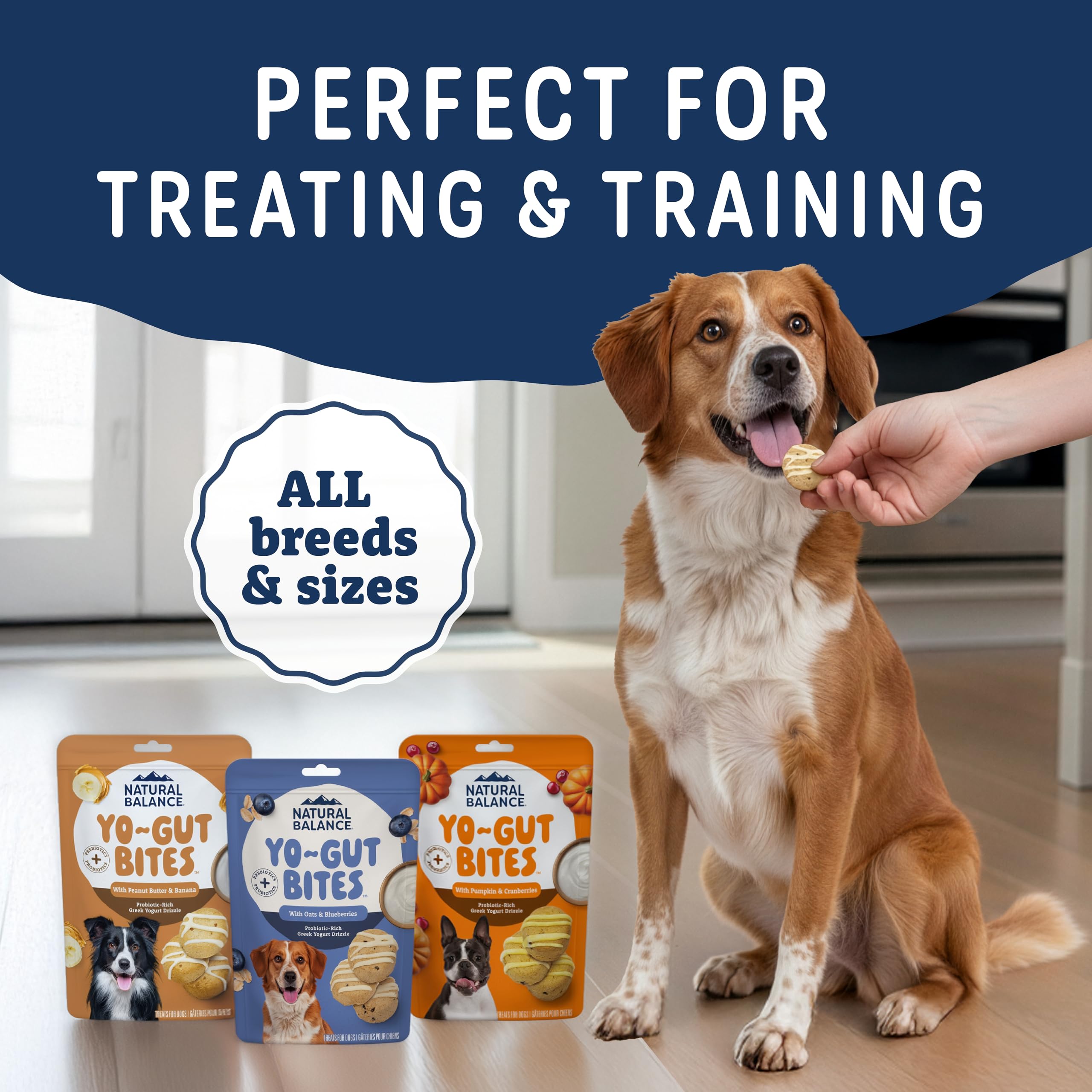 Natural Balance chien acceptant une friandise montrant renforcement positif