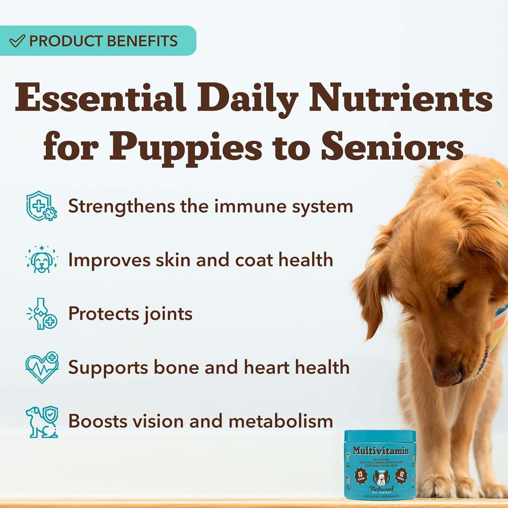 Natural Dog Company pelage avant-après montrant amélioration visible