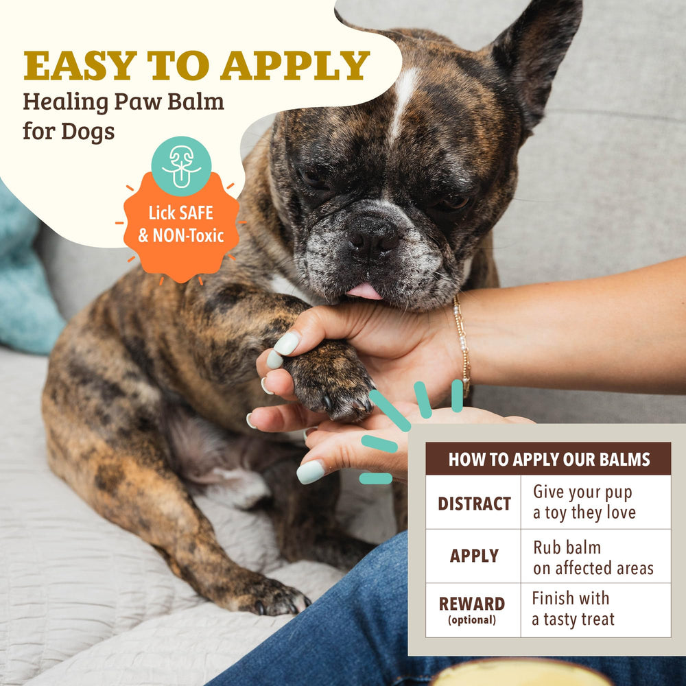 Natural Dog Company comparaison taille avec main, format 2 oz facile à transporter