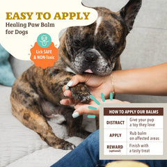 Natural Dog Company comparaison taille avec main, format 2 oz facile à transporter