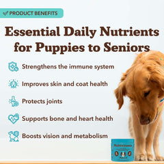 Natural Dog Company comprimé mâchable prêt à être offert, goût attractif