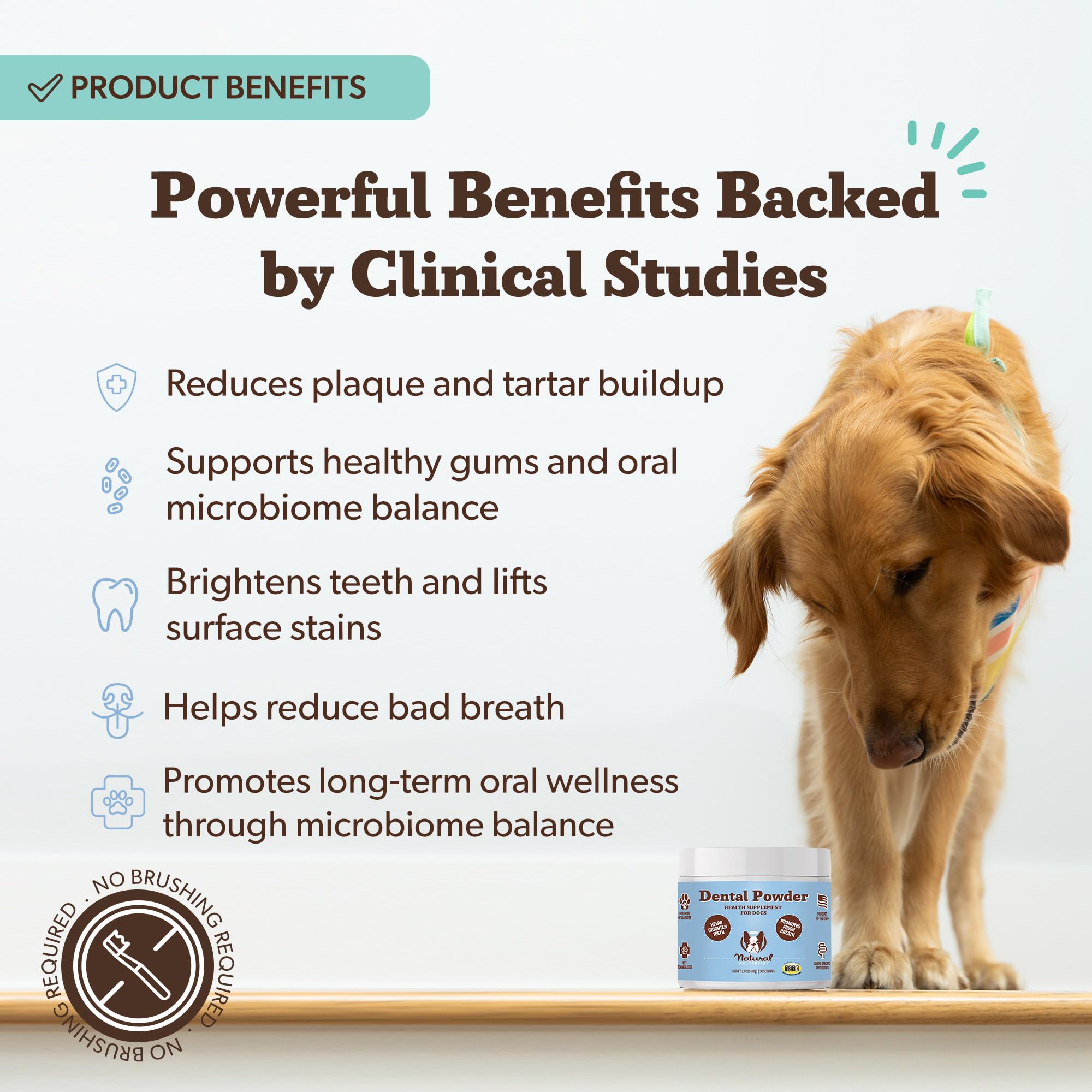 Natural Dog Company dosette incluse montrant la portion quotidienne simple à mesurer