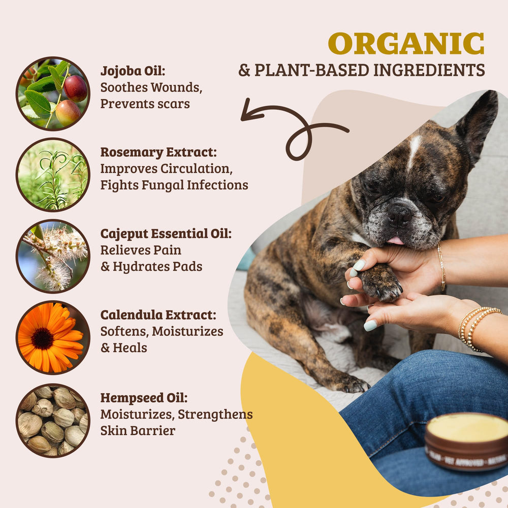 Natural Dog Company en application sur patte, aide à restaurer l'hydratation