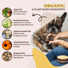 Natural Dog Company en application sur patte, aide à restaurer l'hydratation