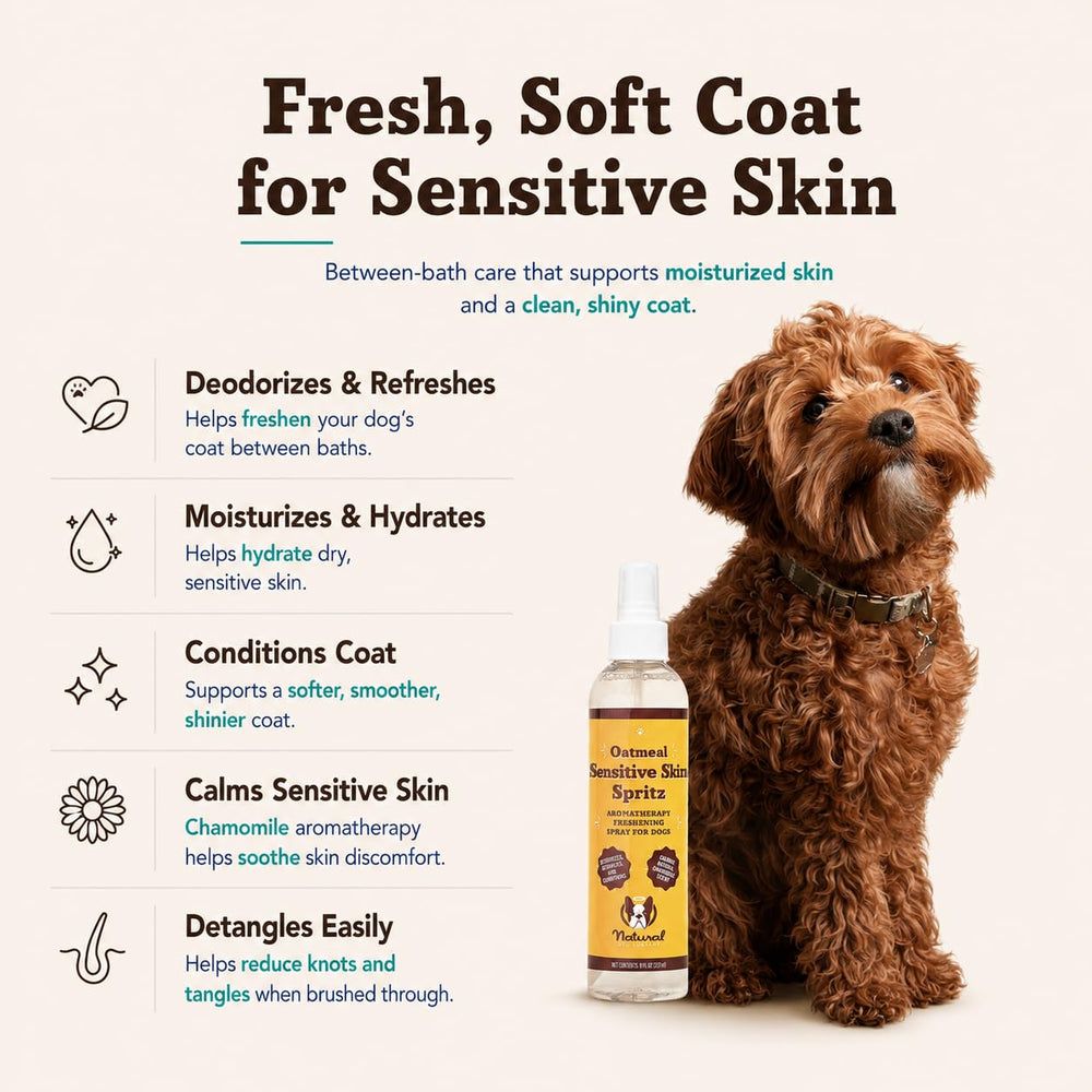 Natural Dog Company pulvérisateur en gros plan pour application précise et pratique