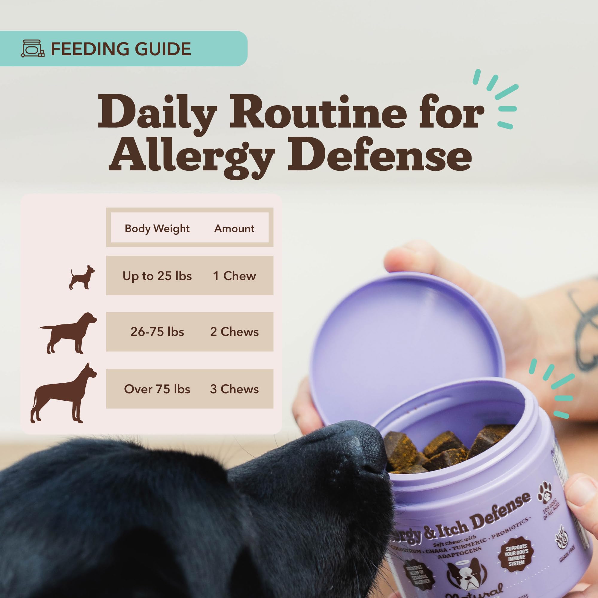 Natural Dog Company ingrédients naturels affichés pour soutien cutané et immunitaire