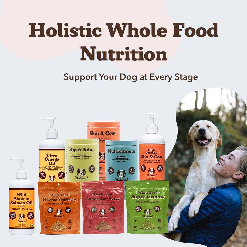 Natural Dog Company scène de vie en jardin chien actif et pelage en santé