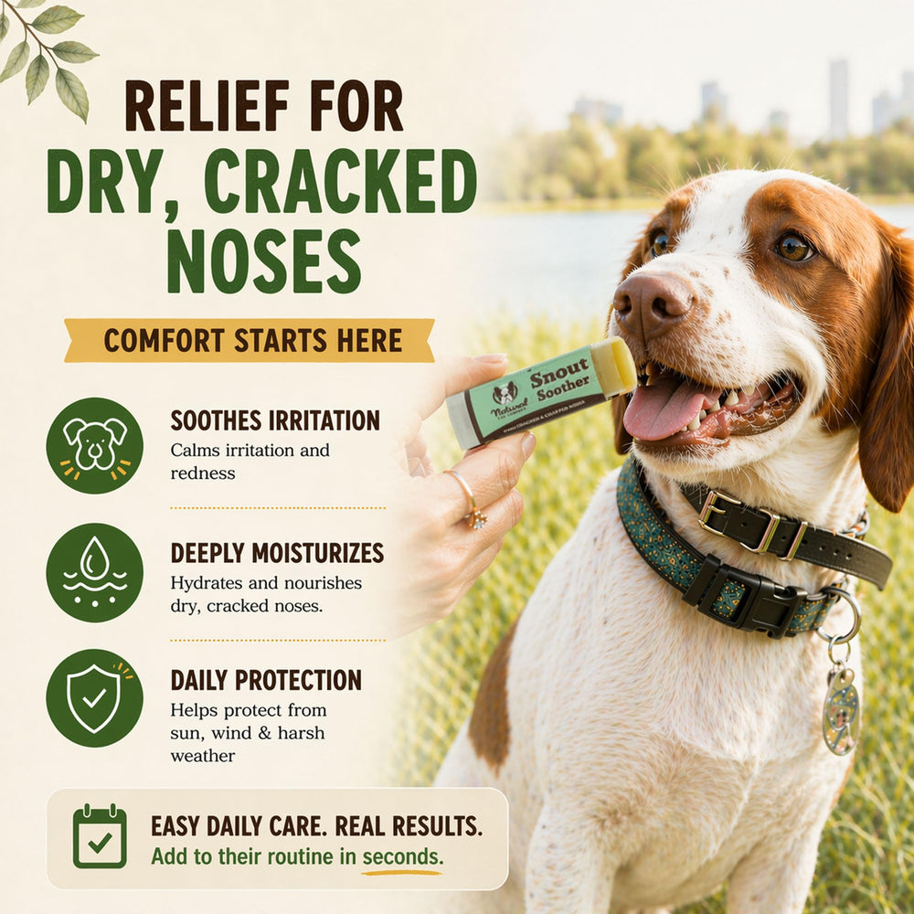 Natural Dog Company taille 2 oz à l'échelle pour transport facile