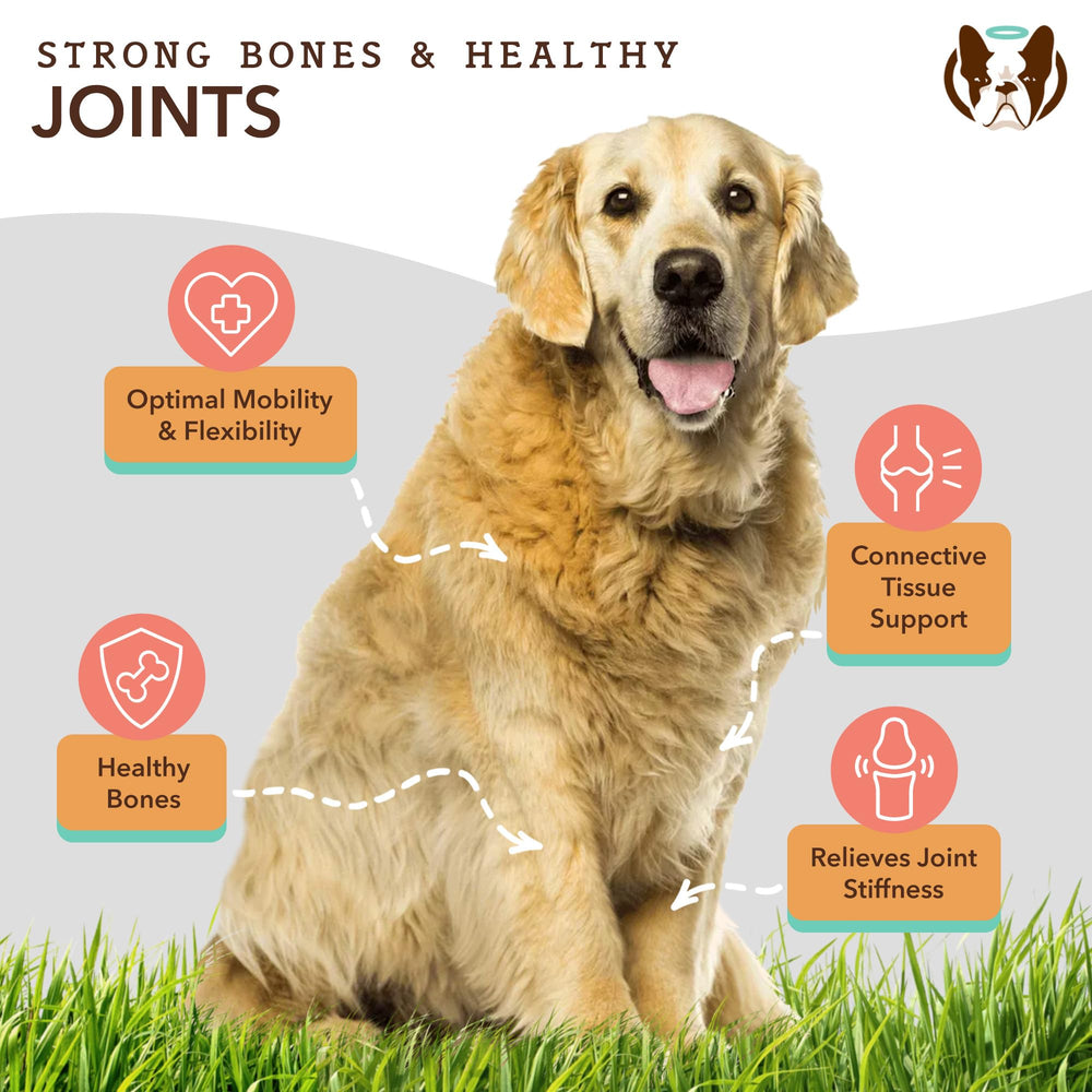 Natural Dog Company texture huile en gros plan, montre pureté et absorption