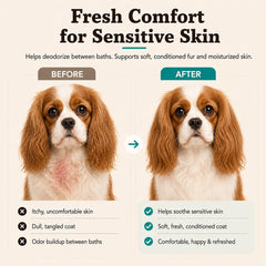 Natural Dog Company texture légère du spray illustrant absorption rapide
