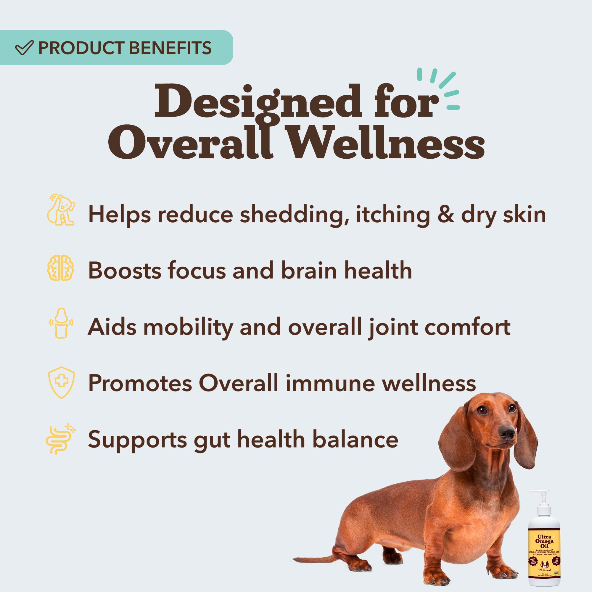 Natural Dog Company versement sur croquettes facilitant l'appétence au repas