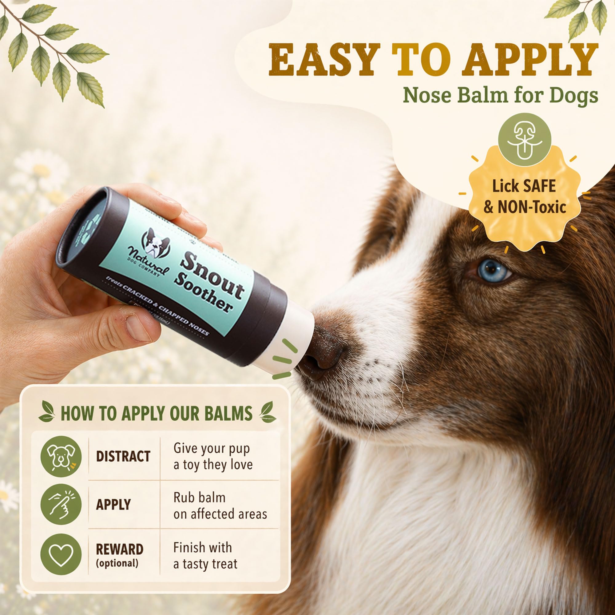 Natural Dog Company chien senior recevant soin du museau améliore confort