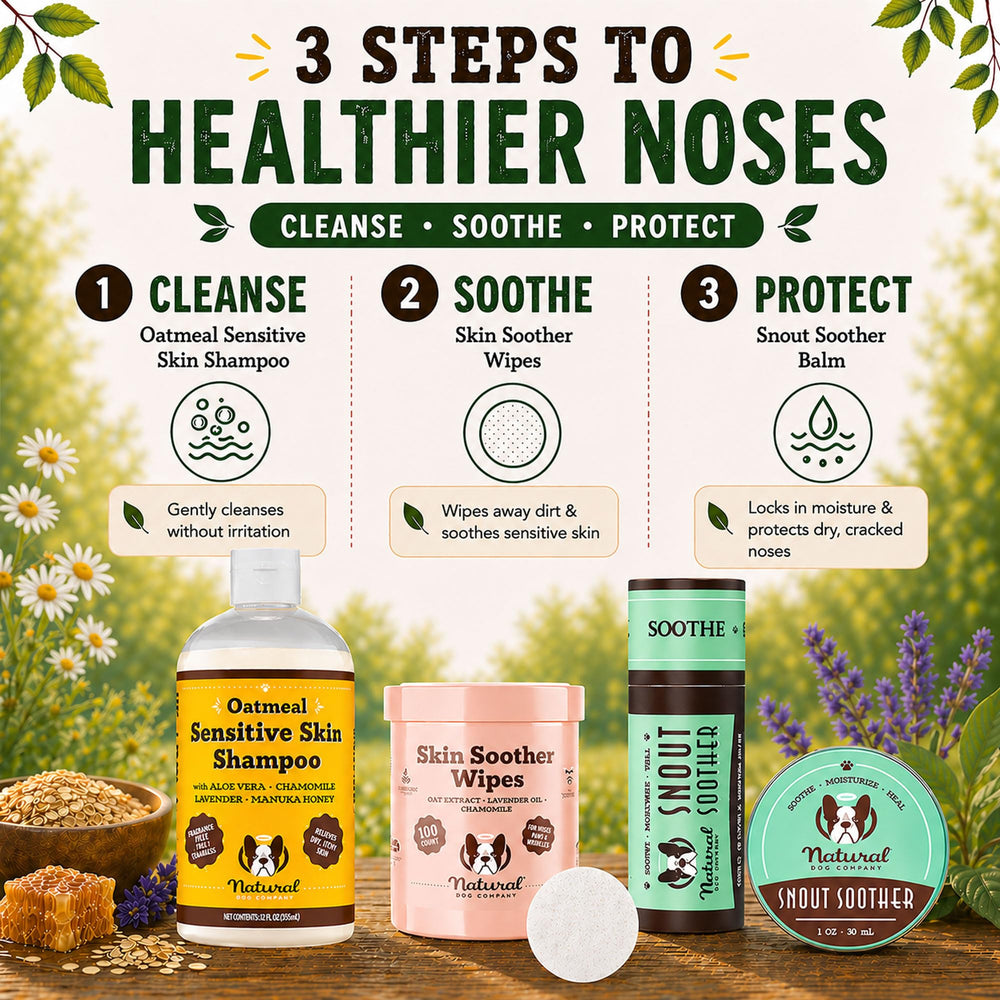 Natural Dog Company comparaison avant-après montrant nez plus hydraté