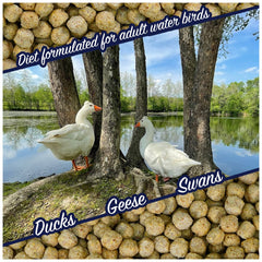 Natural Waterscapes distribution sur étang, réduit dispersion et déchets