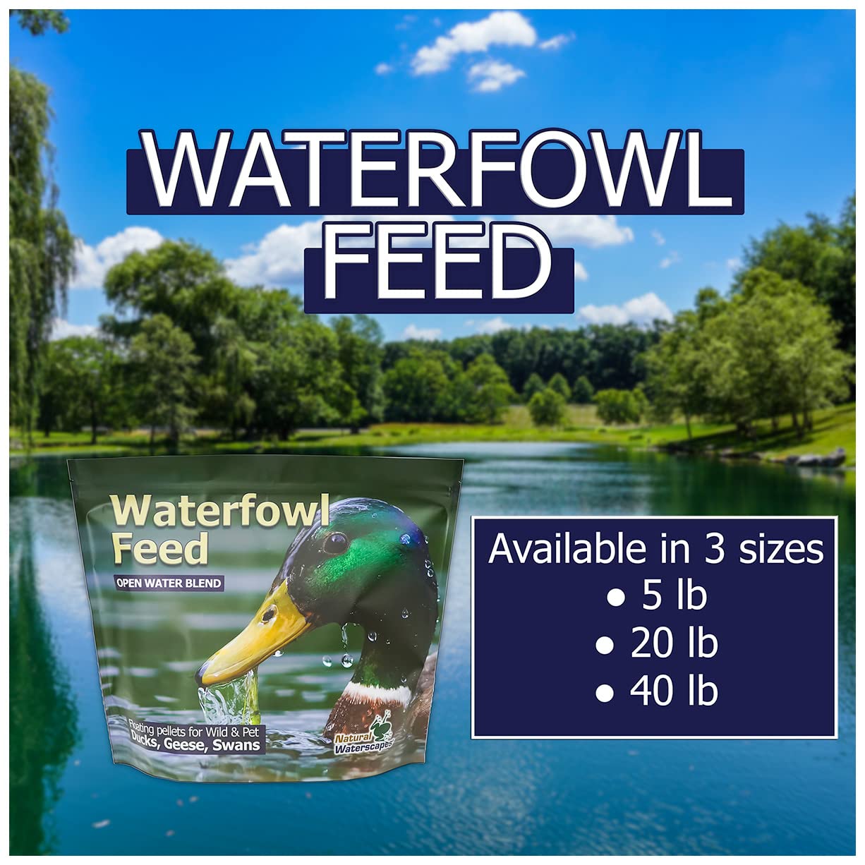 Natural Waterscapes bassin aménagé avec oiseaux, usage en milieu paysager
