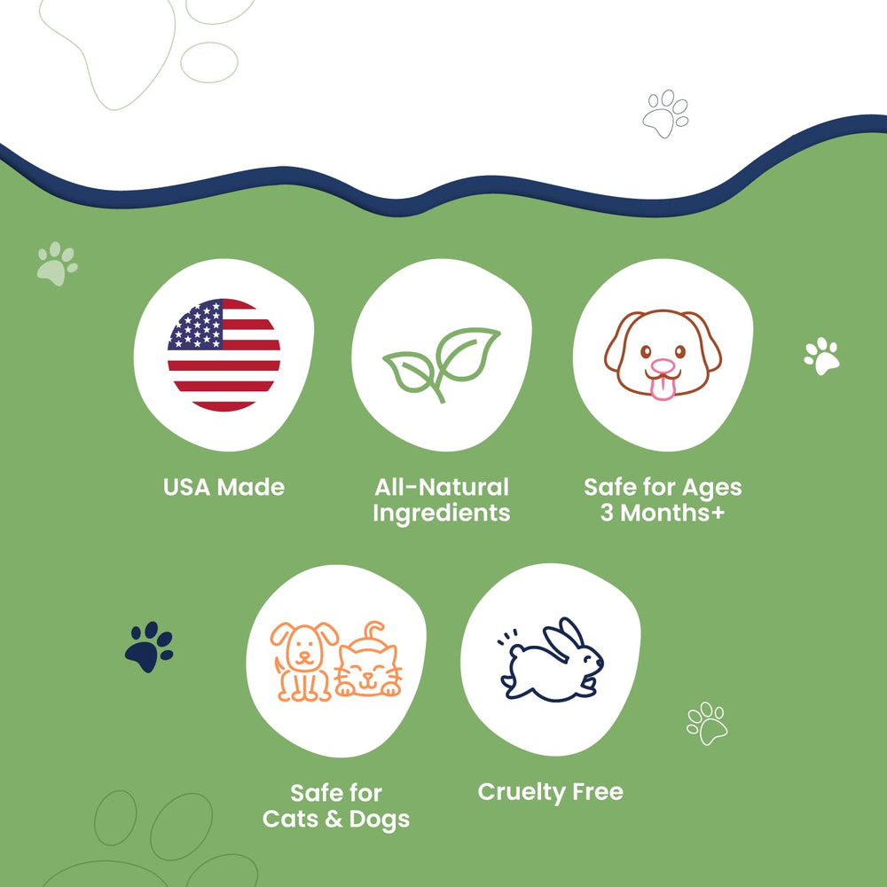 Application du mélange Naturasil sur la patte d’un chat pour soulager la peau