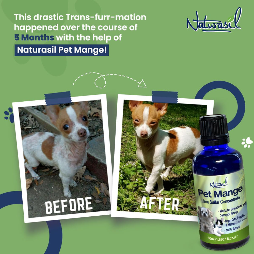 Mesure de 25 mL de Naturasil concentré prête à être diluée pour un traitement sûr