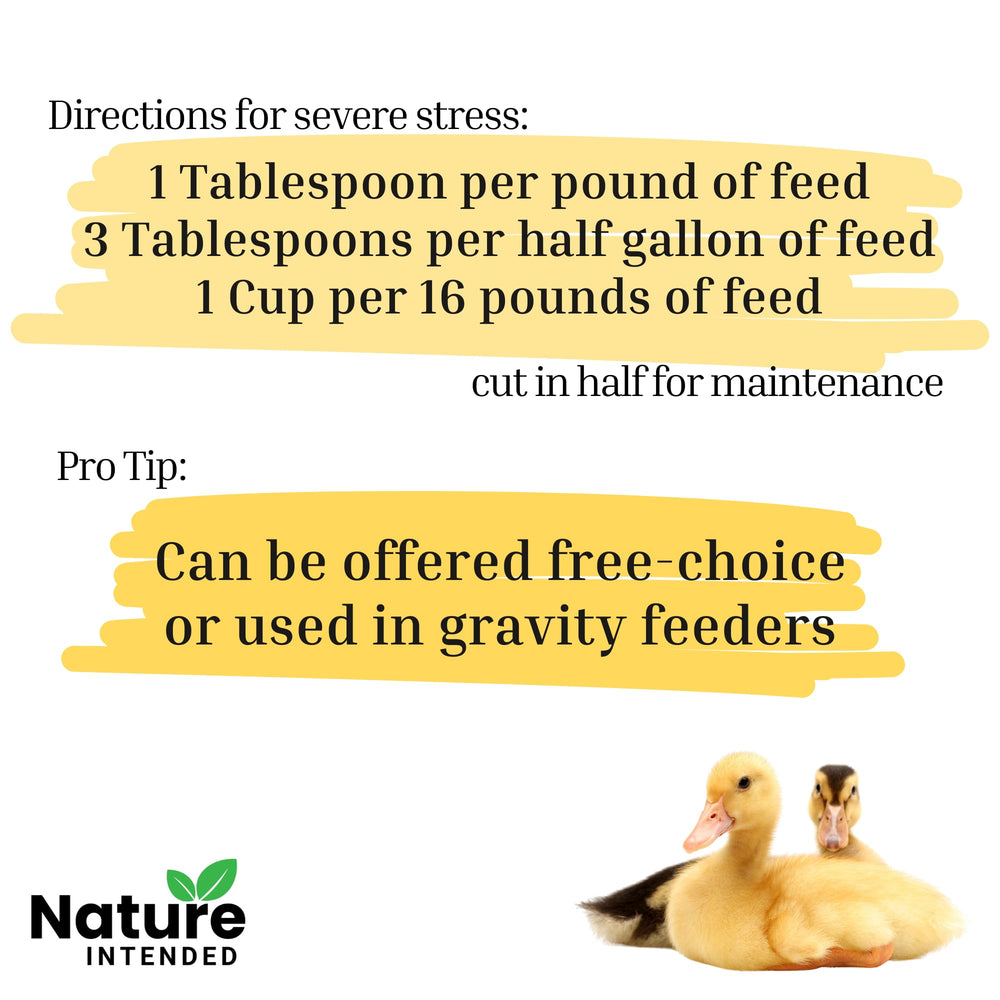 Nature INTENDED dans une basse-cour avec poules et canards montrant usage quotidien