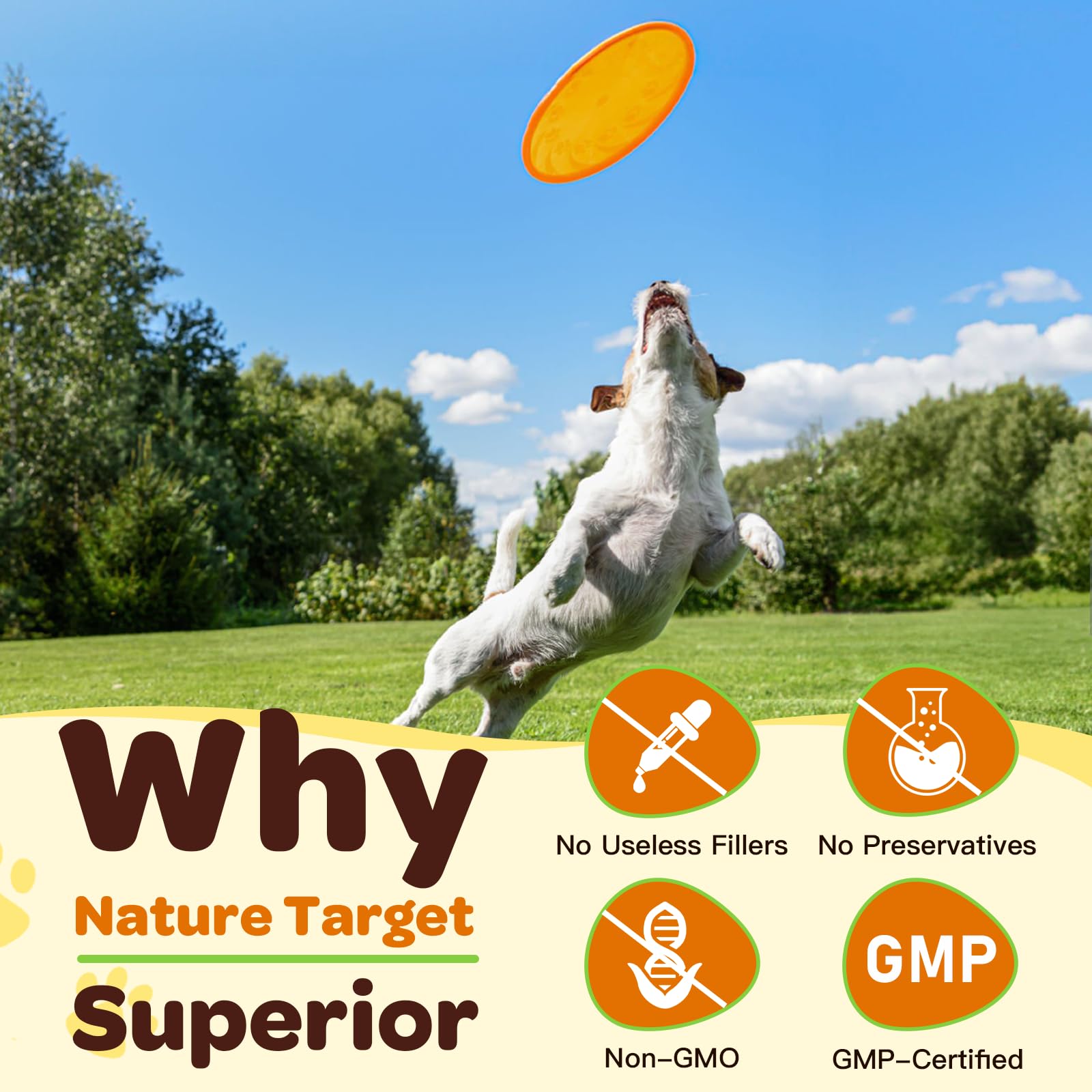 NATURE TARGET saumon frais représentant source d’oméga‑3 et saveur naturelle