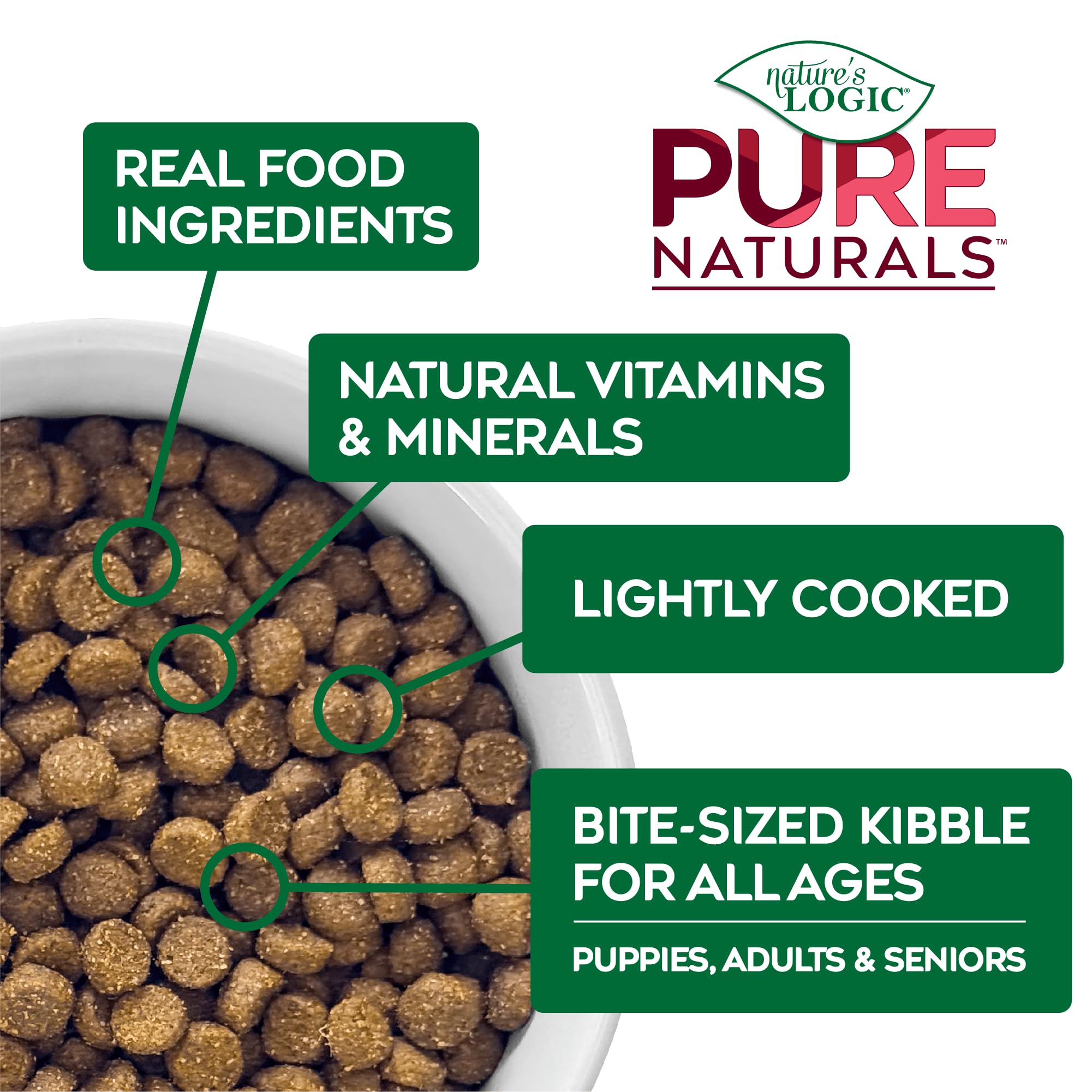 NATURE'S LOGIC chien mangeant la recette bœuf, bénéfice appétence élevée