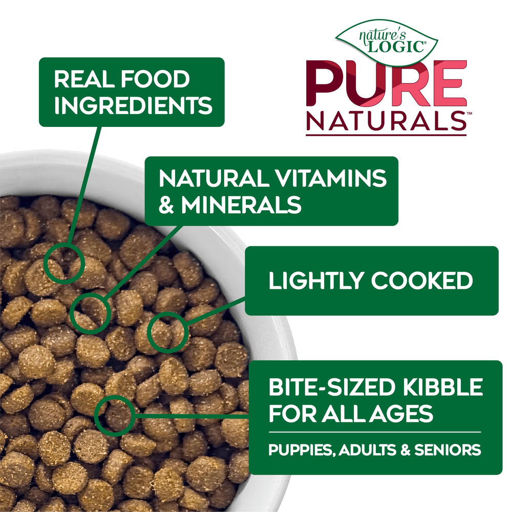 NATURE'S LOGIC chien mangeant la recette bœuf, bénéfice appétence élevée