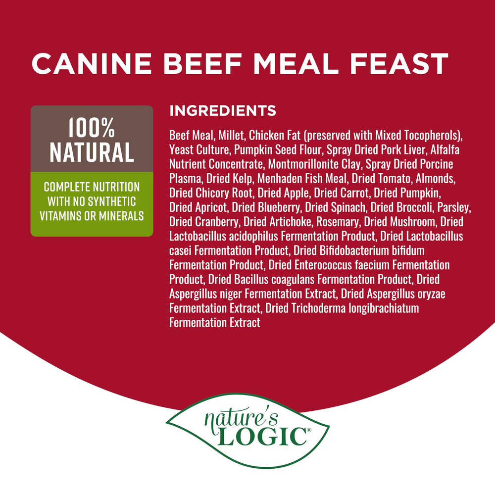 NATURE'S LOGIC croquettes servies dans un bol pour une alimentation complète