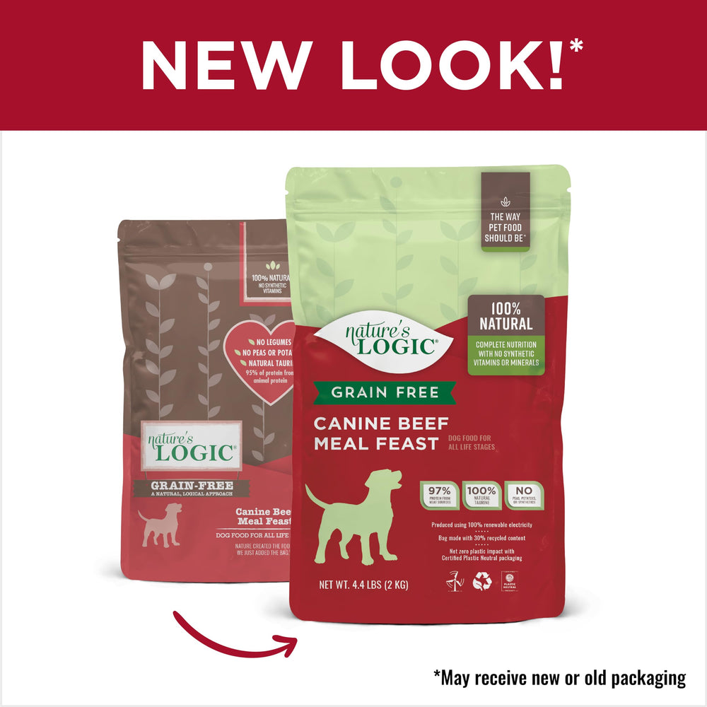 NATURE'S LOGIC gros plan kibble montrant texture croquante et appétence