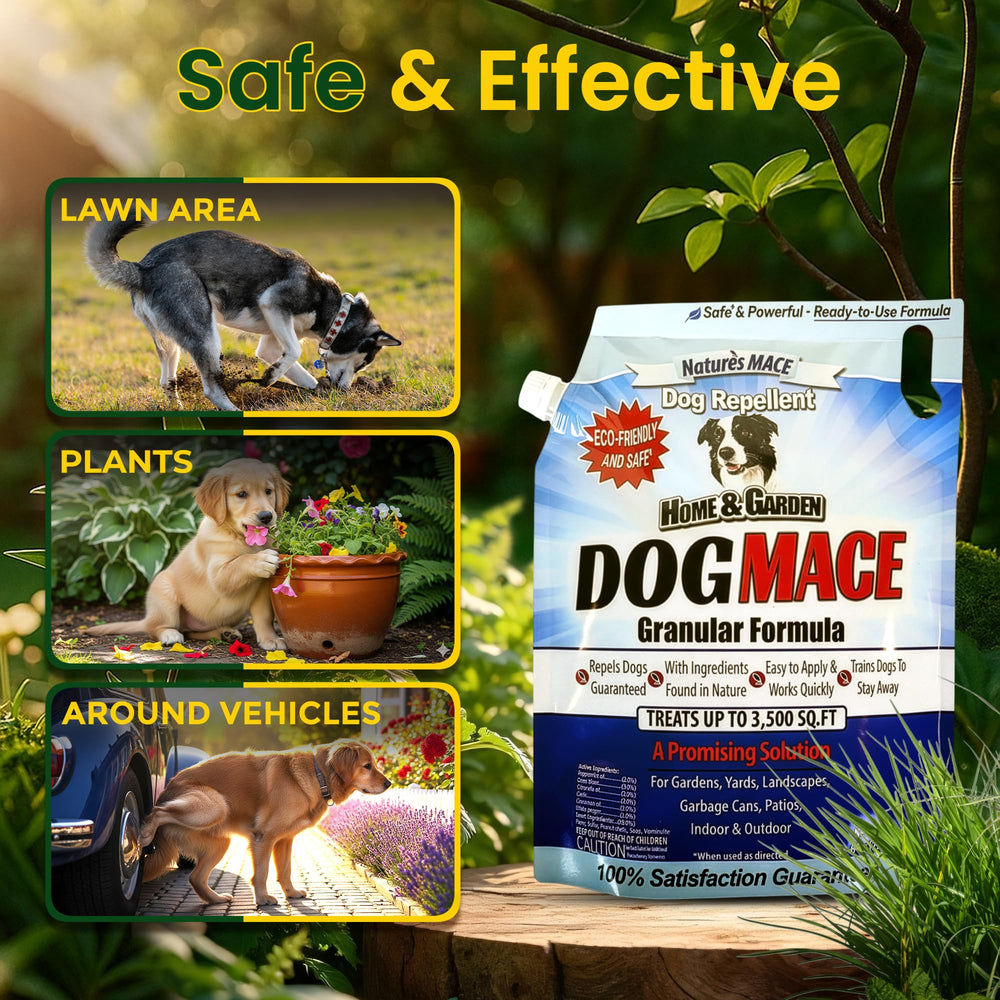 Nature's MACE application dans un parterre montrant protection du jardin