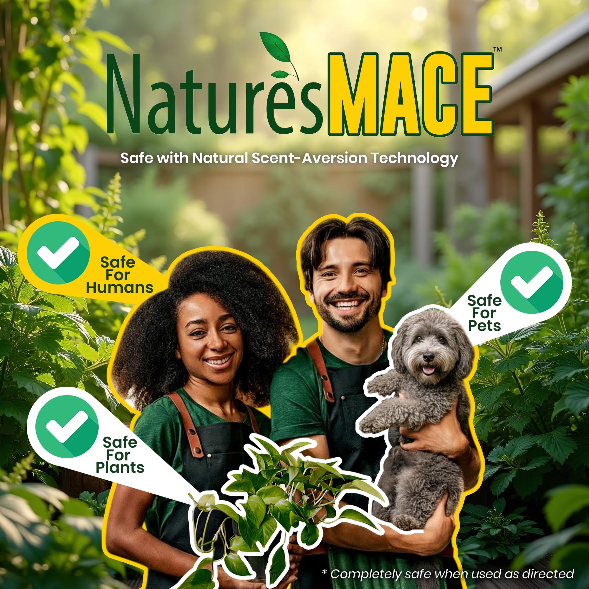 Nature's MACE scène familiale dans la cour montrant sécurité pour enfants