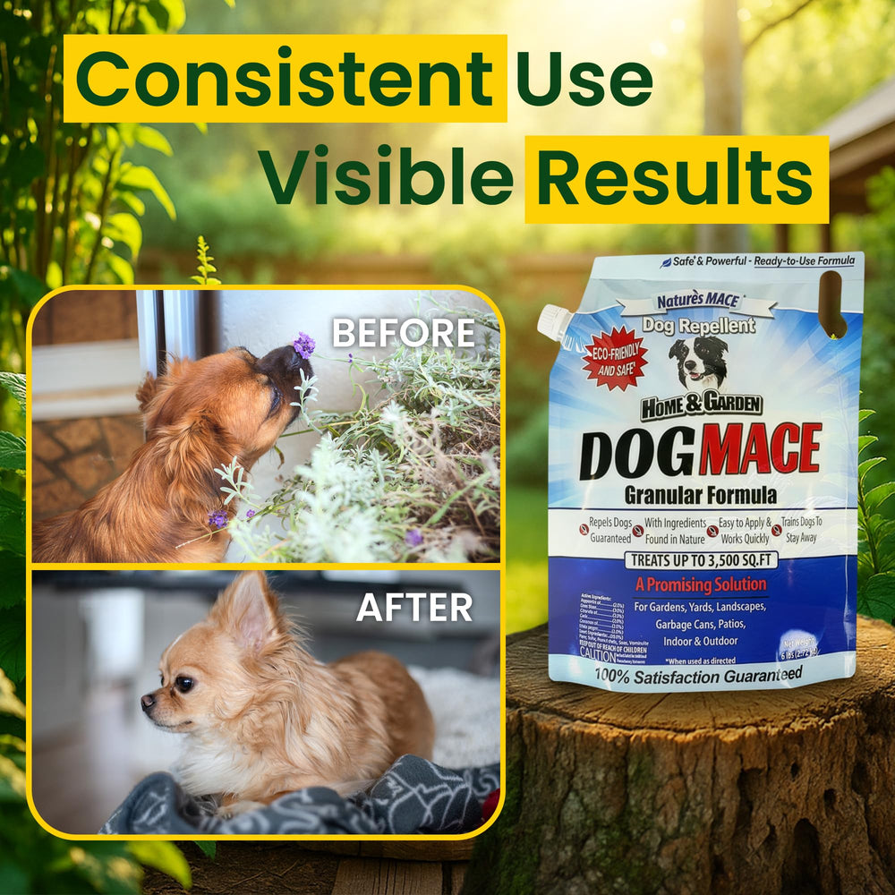 Nature's MACE gros plan étiquette montrant ingrédients et instructions