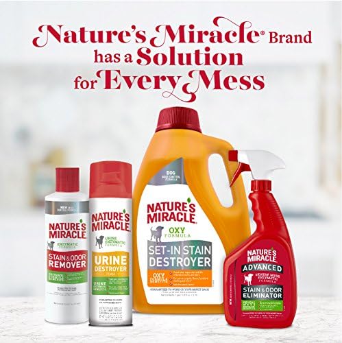 Nature's Miracle gallon posé à côté d’un objet pour comparaison d’échelle, grand format économique