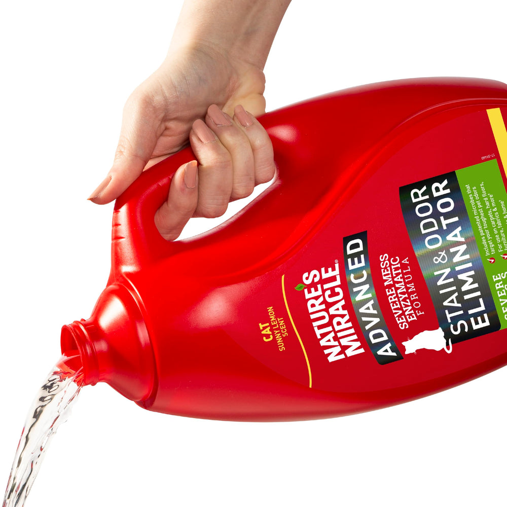 Nature's Miracle gros plan du liquide montrant texture enzymatique active, efficacité visible