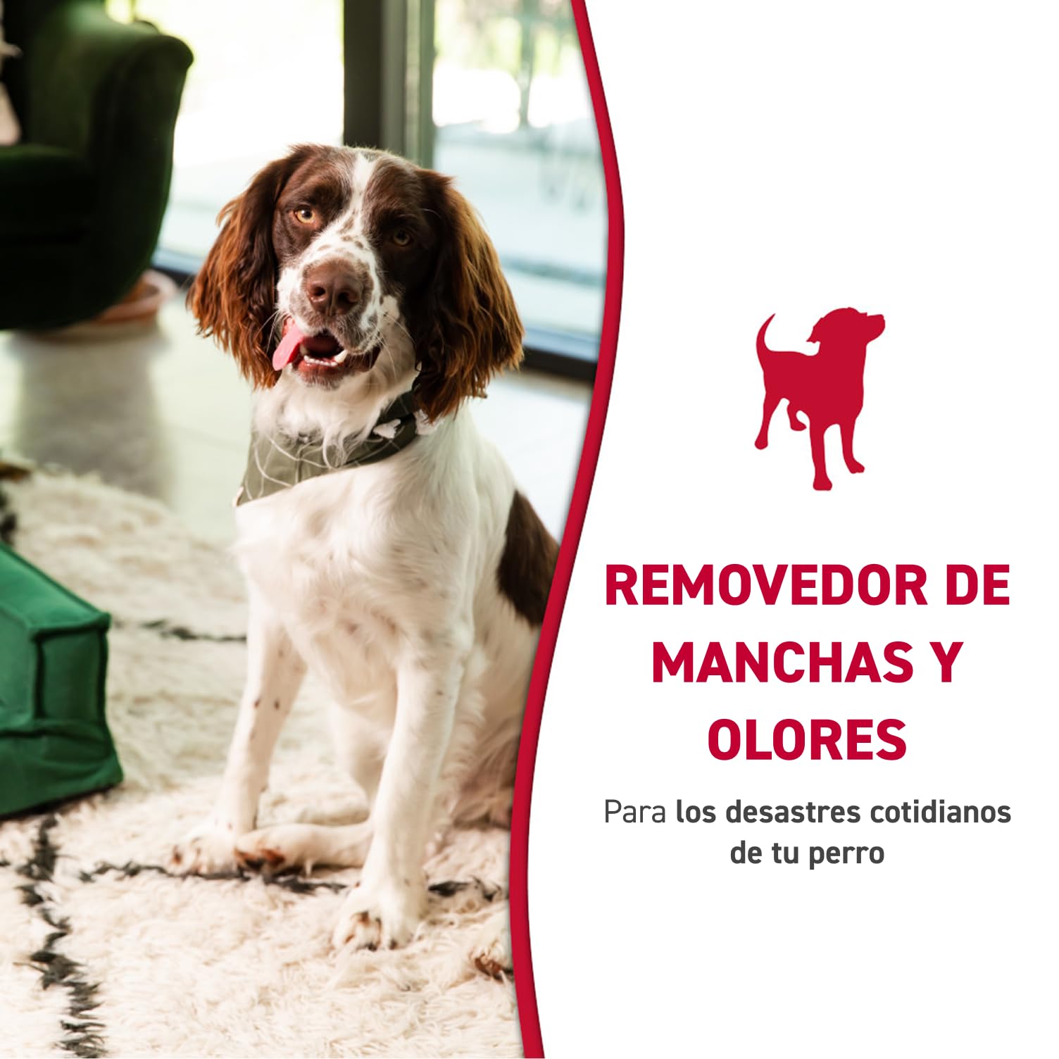 Nature's Miracle gros plan du liquide montrant texture active enzymatique
