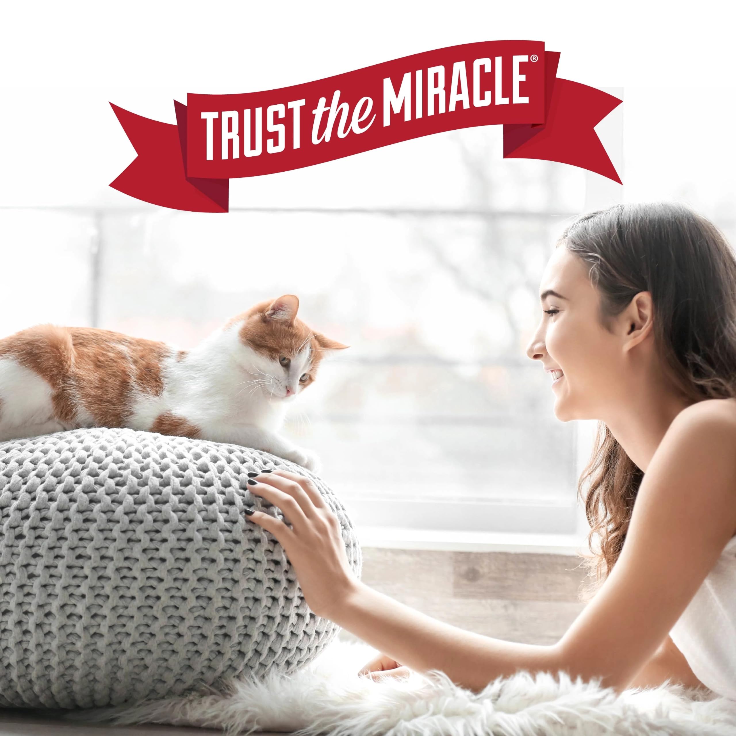 Nature's Miracle lifestyle salon montrant bac discret et ambiance rafraîchie