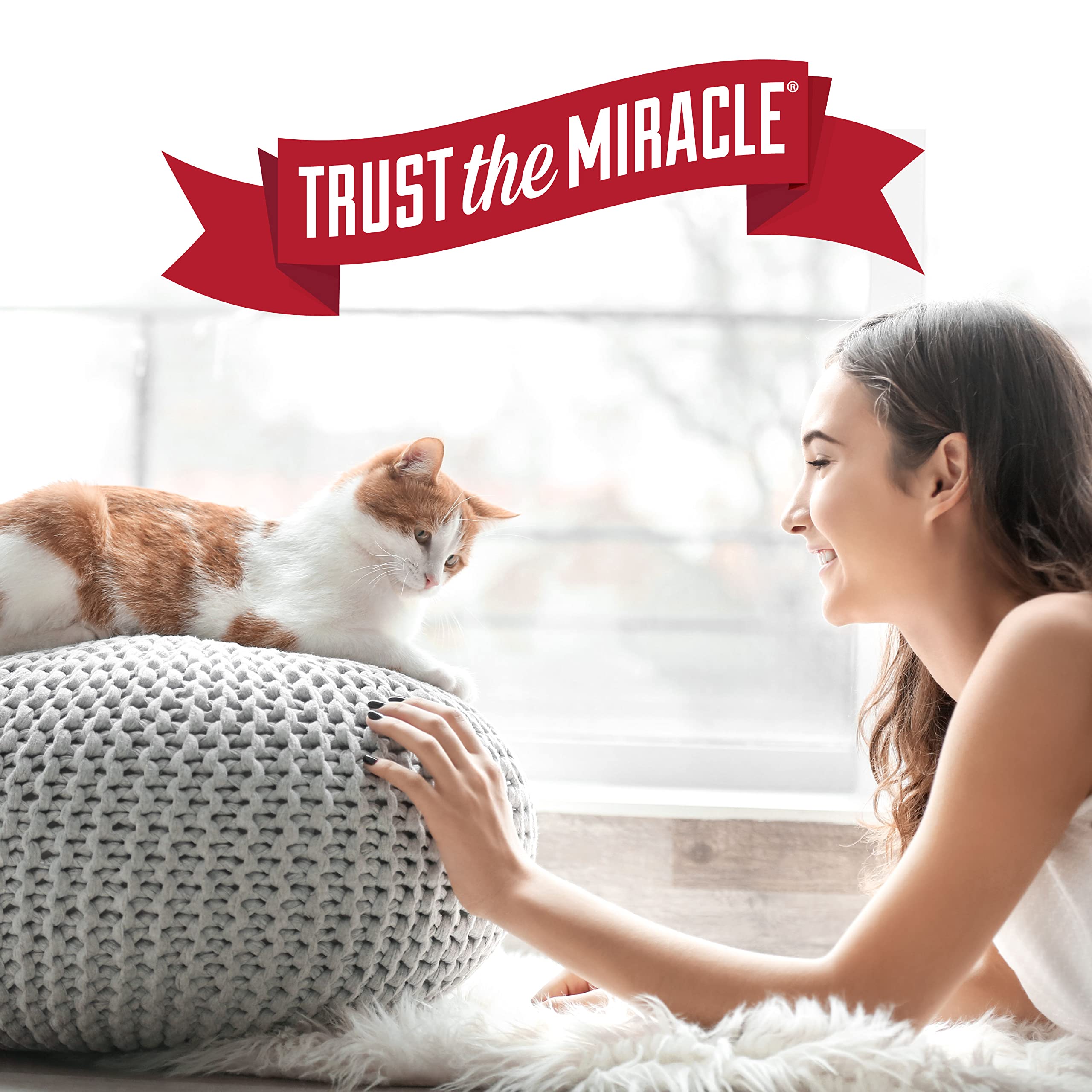Nature's Miracle scène de salon avec chat pour démontrer prévention de marquage