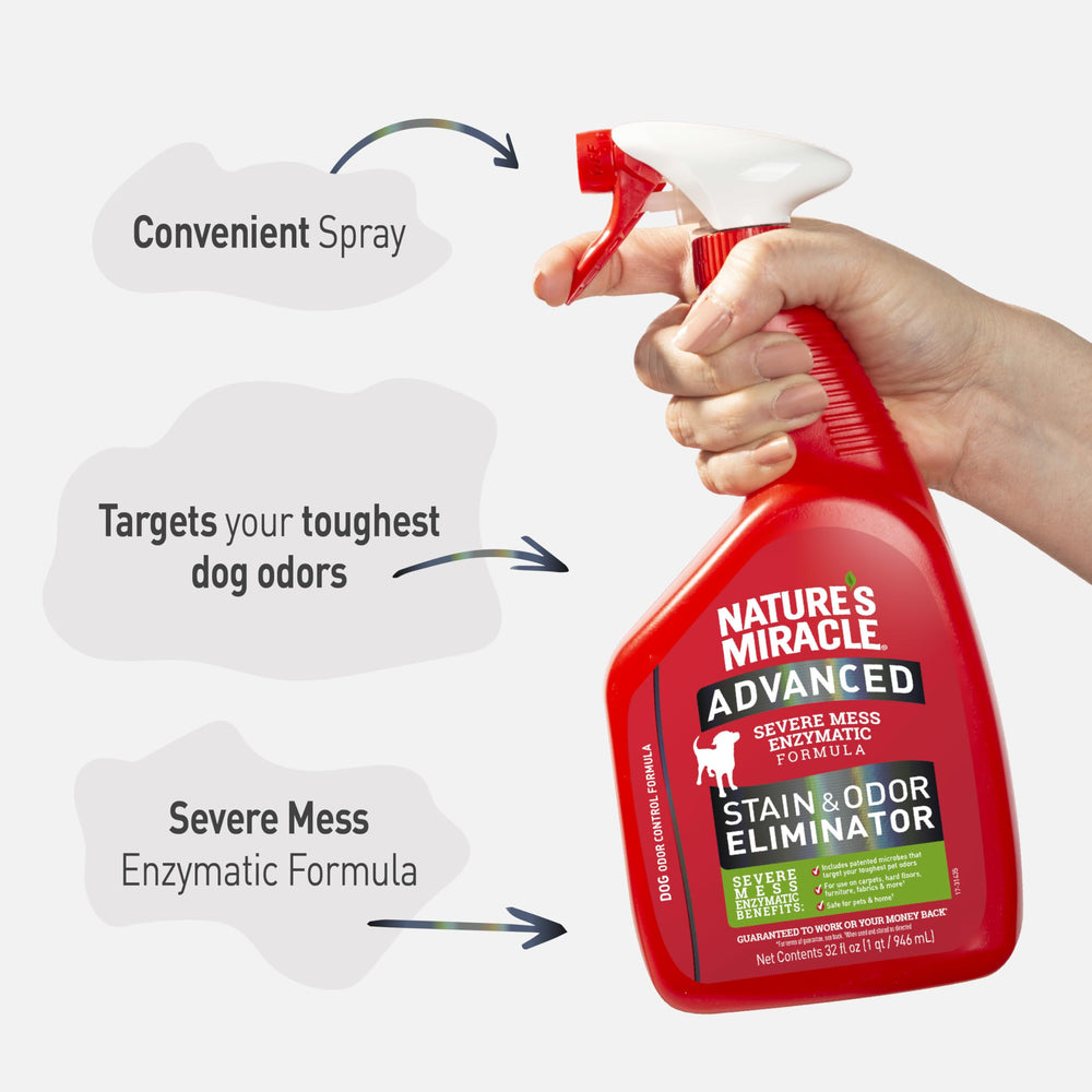 Nature's Miracle mousse ou liquide enzymatique montrant action active