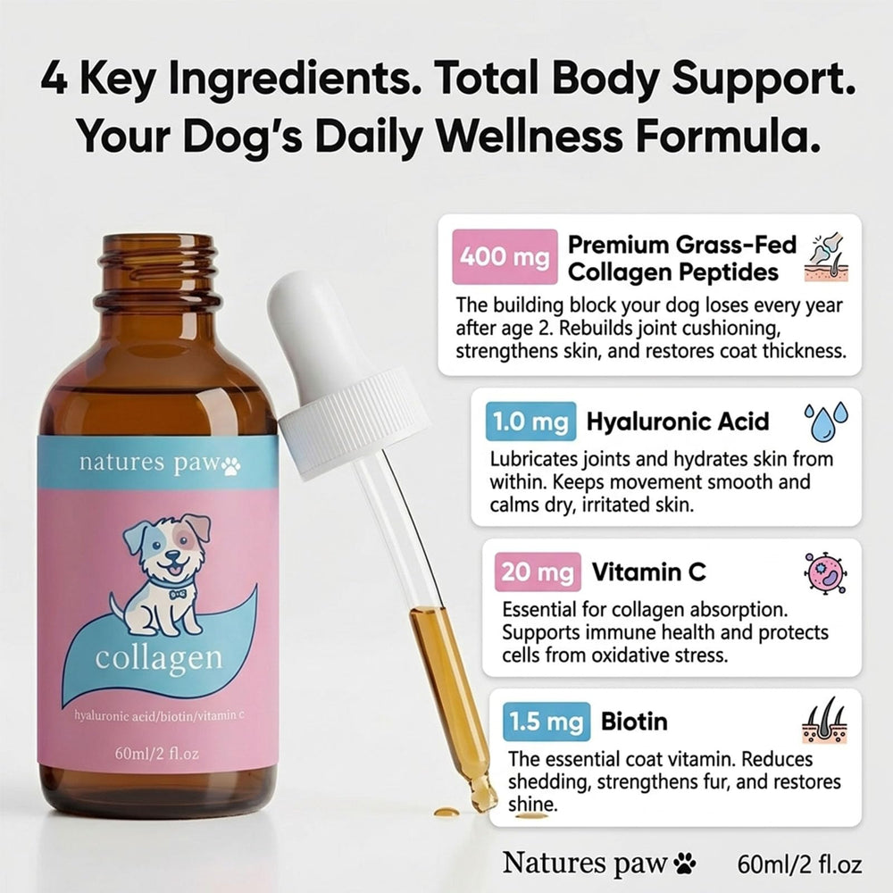 Natures Paw texture liquide proche pour absorption rapide et application simple