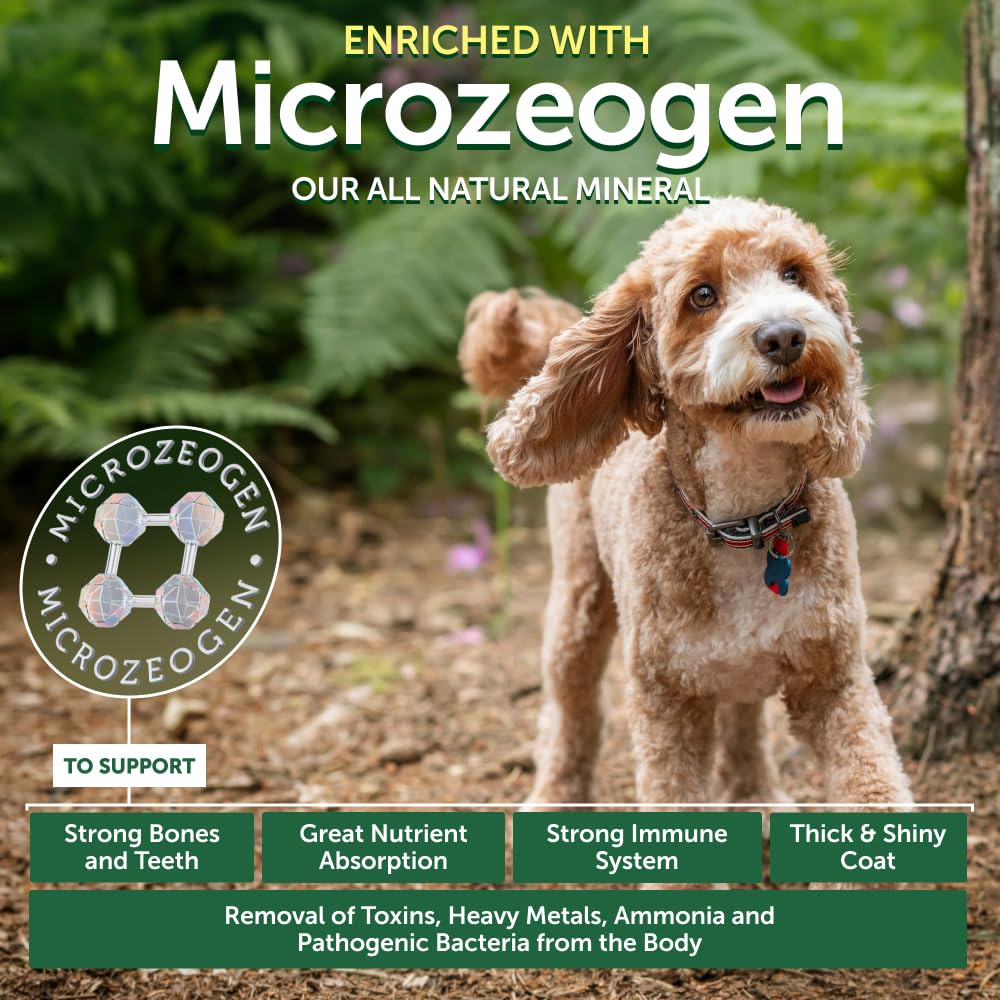 Nature's Protection petit chien adulte savourant la recette aidant pelage brillant