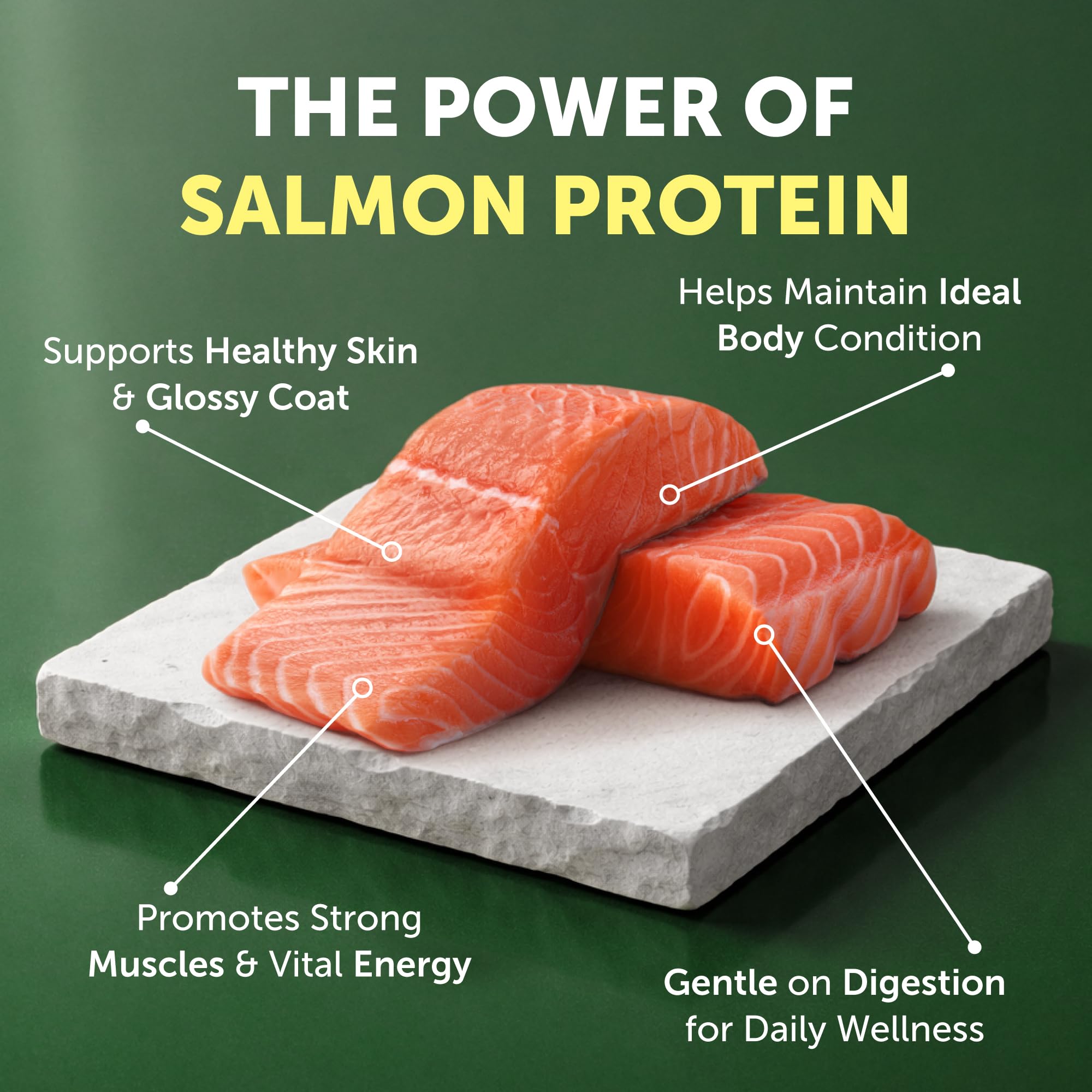 Nature's Protection croquettes dans une main pour montrer la taille et faciliter le dosage