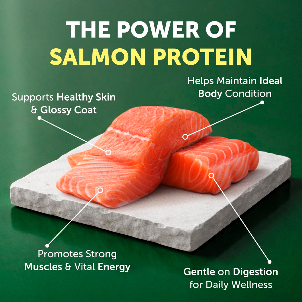Nature's Protection croquettes dans une main pour montrer la taille et faciliter le dosage