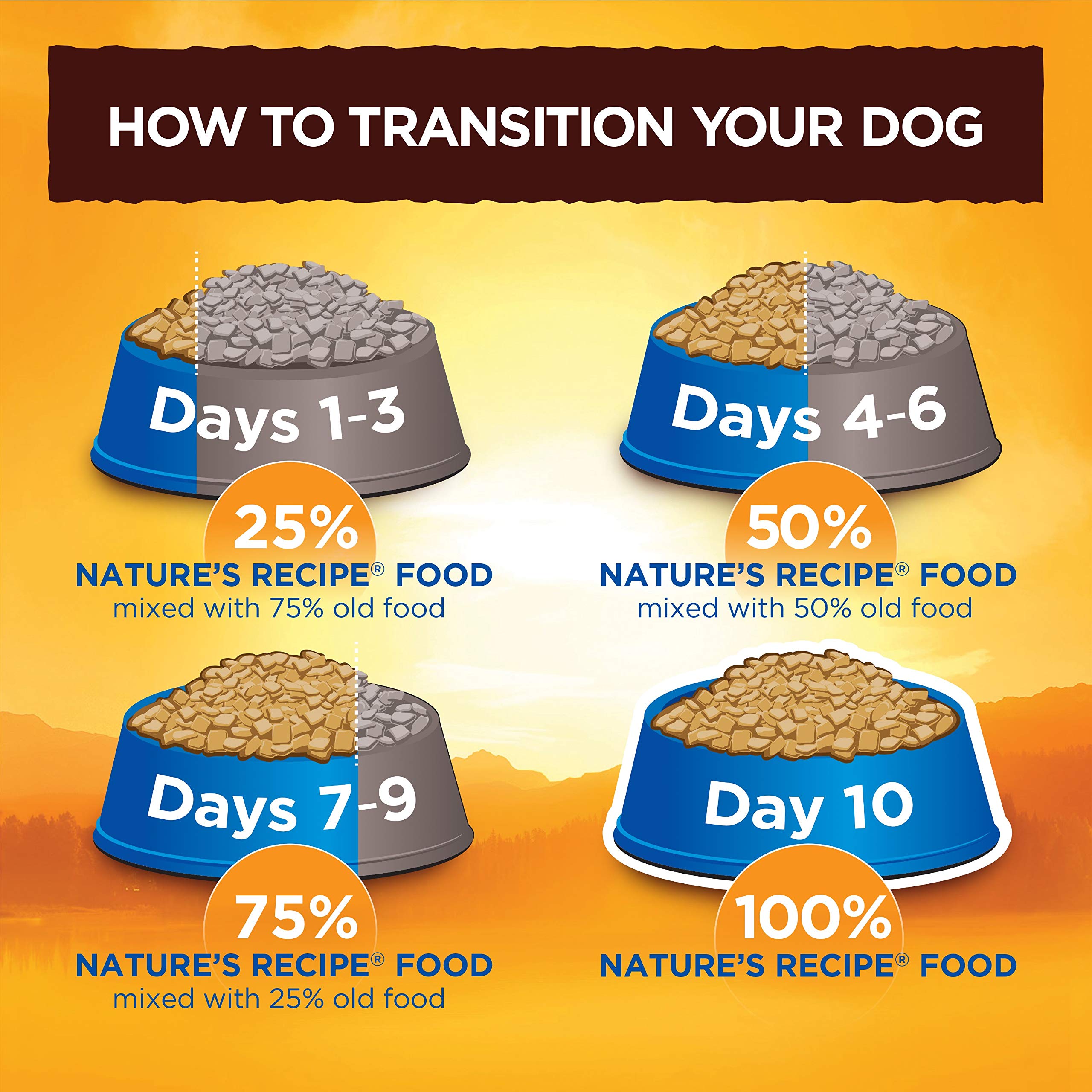 Nature's Recipe chien dégustant la coupelle, stimule l'appétence au repas